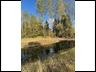 A little pond in the back yard
