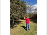 First time apple picking
