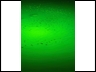 Green Light Fish